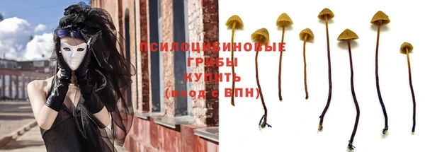 твердый Белоозёрский