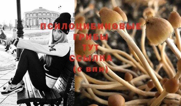 не бодяженный Володарск