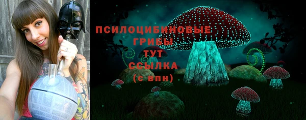 2c-b Волосово