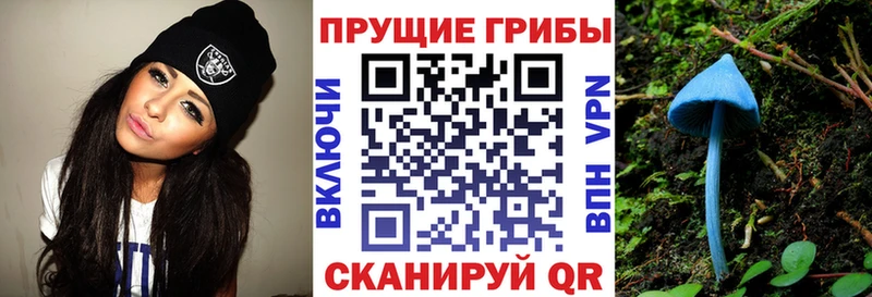 Псилоцибиновые грибы прущие грибы  цена   Гагарин 
